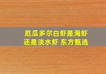 厄瓜多尔白虾是海虾还是淡水虾 东方甄选